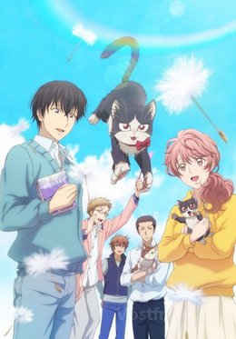 Doukyonin wa Hiza, Tokidoki, Atama no Ue. VOSTFR wiflix