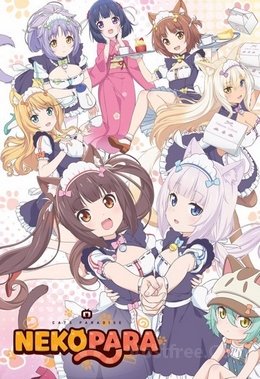 Nekopara VOSTFR wiflix